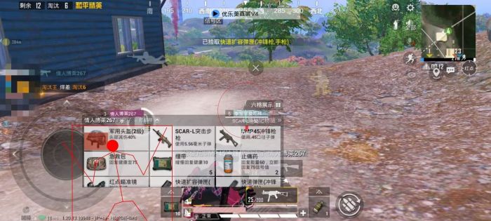 和平精英火焰鸟下载免费 - 热门直装辅助再次来袭